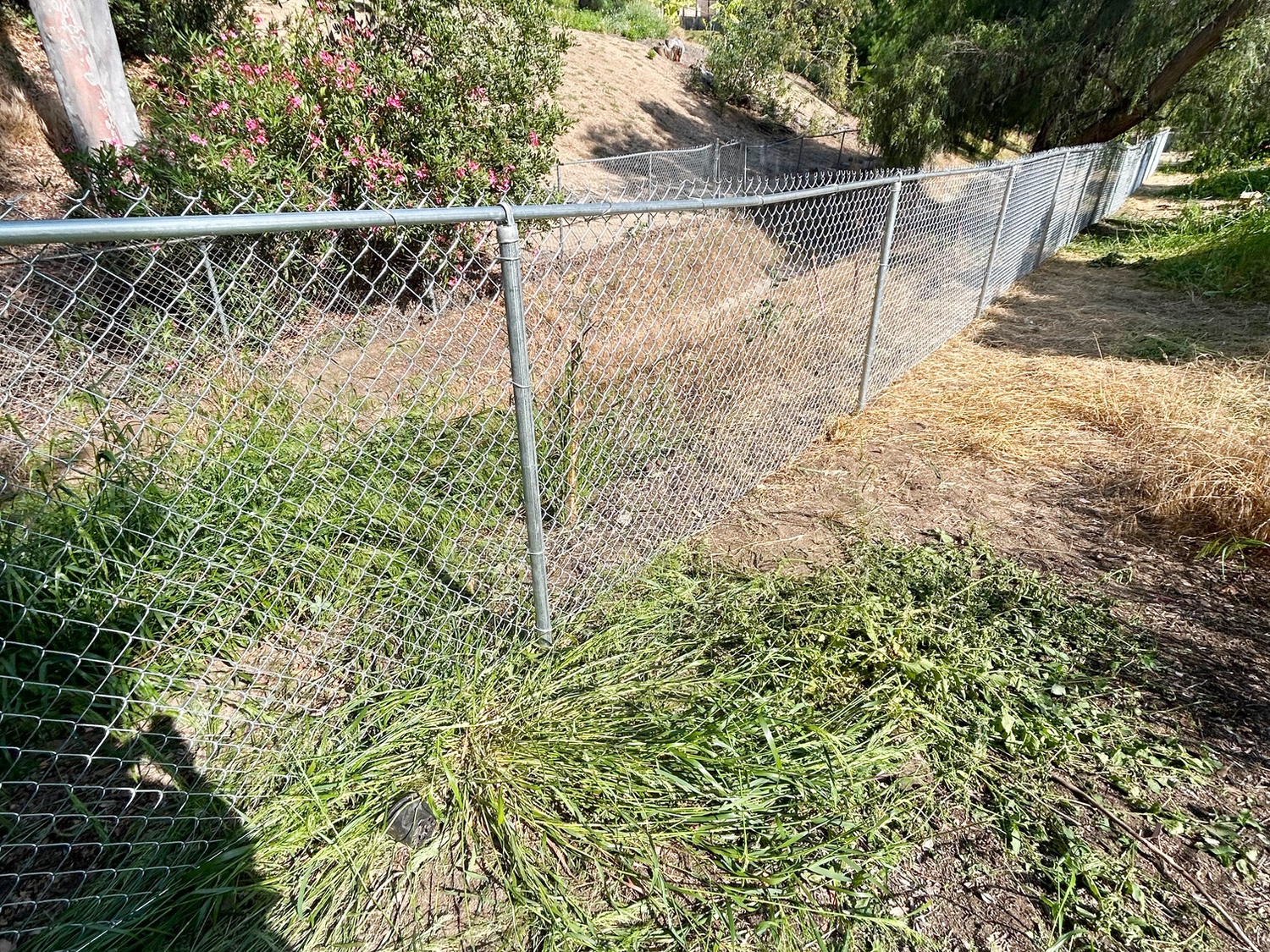 Chain Link Fence Contractor